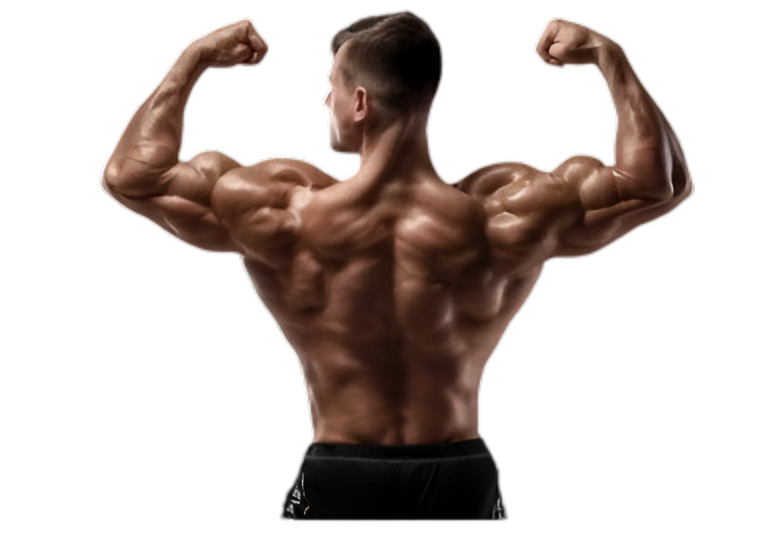 Premium fitness experience